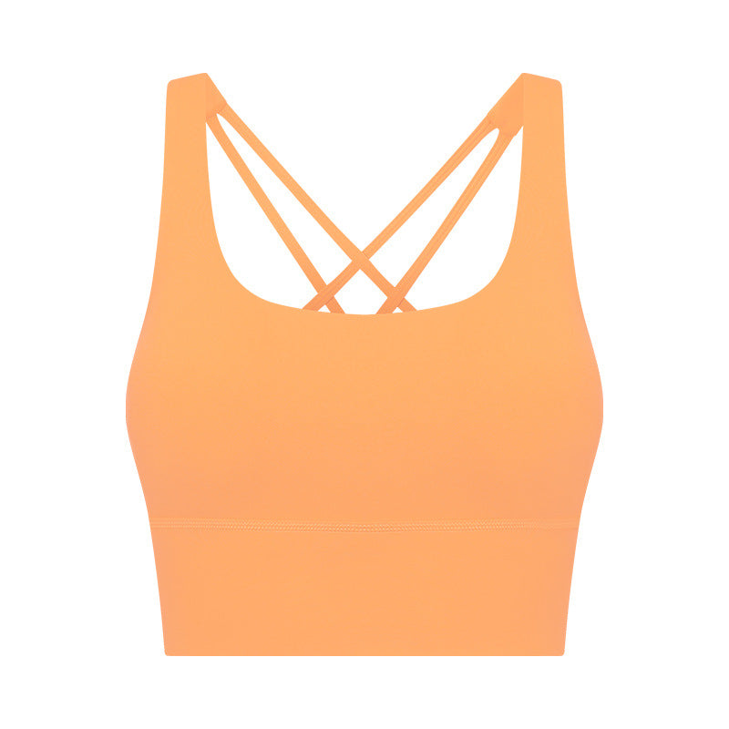 Tank Top Sports Bra
