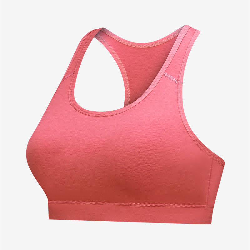 Workout Sports Bra