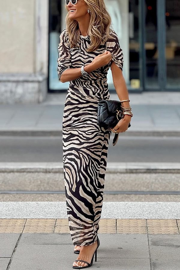 Natural Beauty Mesh Zebra Print Ruched Stretch Maxi Dress Multicolor