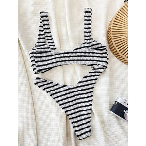 Striped Brazilian High Cut Bikini
